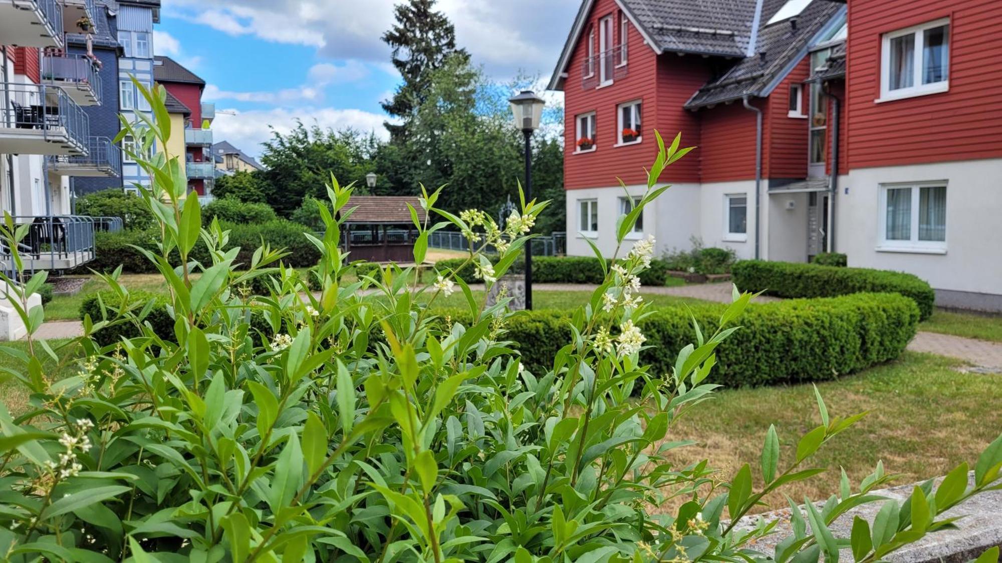 Wohlfuehl-Ferienwohnung Mit Tiefgarage Im Gruenen Oberhof  Kültér fotó